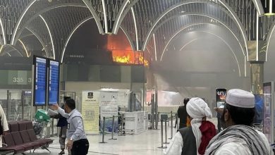 C00F58CA E23C 42D7 B6B6 B90670BF8CAA