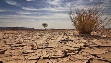 C047A29E DA11 4030 8E6C CB9AF7FEEB0D