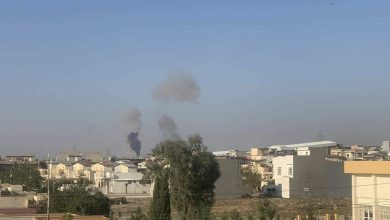 D3E8CE65 3306 408B B57B 563FCAF74697