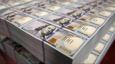 D5588EE0 B163 4C1C 9735 E699EC367C1E