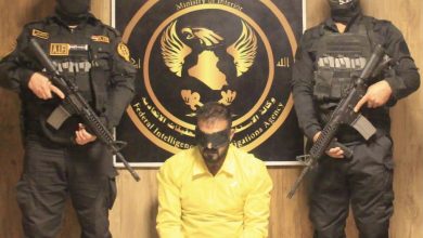 EF74ED15 644B 4E83 8565 2CD24716A0A9