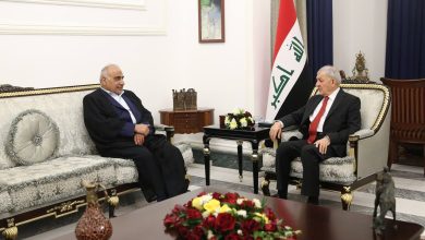 رئيس الجمهورية يستقبل عادل عبد المهدي 5 F4AC0844 A9E7 401C AA58 41CA433F656C