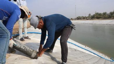 FB IMG 1667373826842