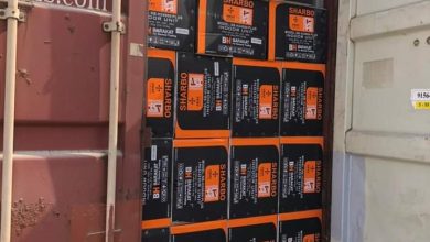 FB IMG 1667384993283