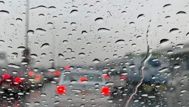 FB IMG 1667891208153