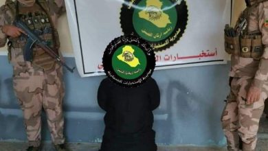 IMG 20221102 072711 314