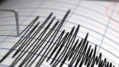 IMG 20221104 123357 266