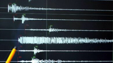 IMG 20221117 060245 972