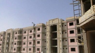 IMG 20221125 123523 842