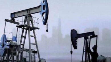 IMG 20221125 143610 921