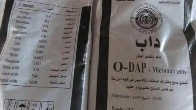 IMG 20221128 120047 591