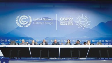 IMG ٢٠٢٢١١٠٧ ٠٨٤١٤٦