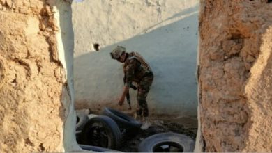 IMG ٢٠٢٢١١٠٧ ١١١٧٠٧