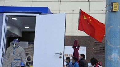 IMG ٢٠٢٢١١١١ ١٠٠٥٠١