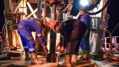 IMG ٢٠٢٢١١١٣ ١٤١٤٤٦