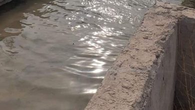 IMG ٢٠٢٢١١١٤ ١٣٢١٣١