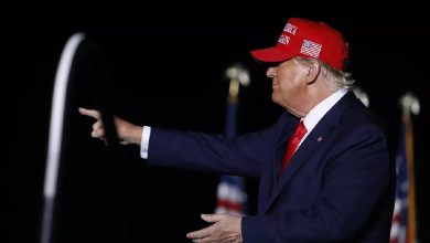 IMG ٢٠٢٢١١١٥ ٠٨٤٤٤٢