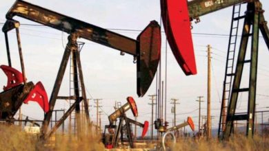 IMG ٢٠٢٢١١١٥ ٠٨٤٤٥٤