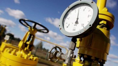 IMG ٢٠٢٢١١١٥ ١٣٠٧٤٨