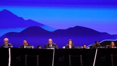 IMG ٢٠٢٢١١٢٠ ٠٨٠٥١٦