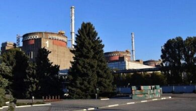 IMG ٢٠٢٢١١٢٤ ٠٨٠٠٢٠