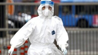 IMG ٢٠٢٢١١٢٤ ٠٨٠٤٣١