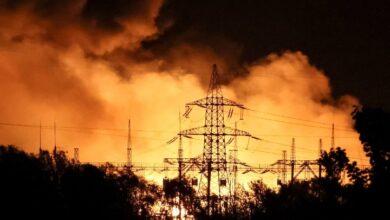 IMG ٢٠٢٢١١٢٤ ٠٨٠٤٣٩