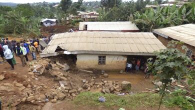 IMG ٢٠٢٢١١٢٨ ٠٨١٤٥٩