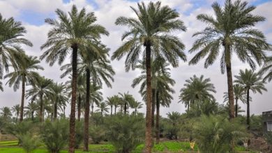 Screenshot 2022 11 05 11 23 25 52 40deb401b9ffe8e1df2f1cc5ba480b12