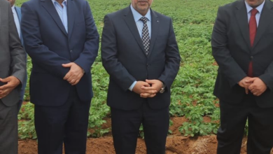 Screenshot ٢٠٢٢١١١٧ ٢١٤٠٤٣