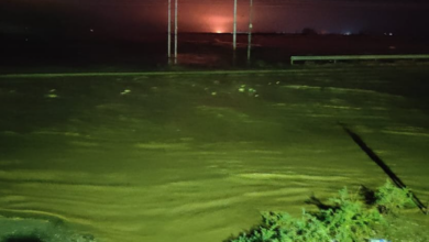 Screenshot ٢٠٢٢١١٢٥ ٢٢٤٣١٩