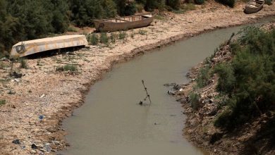 shuh miyah w900 h900