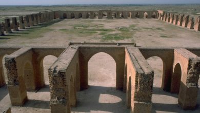 upload 1668006724 459812609 1