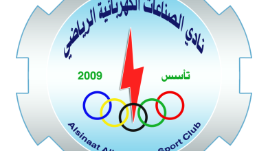 الصناعات الكهربائية