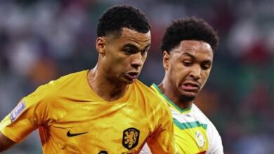 هولندا، السنغال e1669053095199 620x330 1