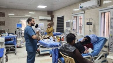 02EEB04C 31D2 4EE0 BFB8 4F77E84926FC