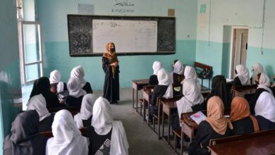 0C6C3C6A 06D9 4293 84D6 10C61B20664D