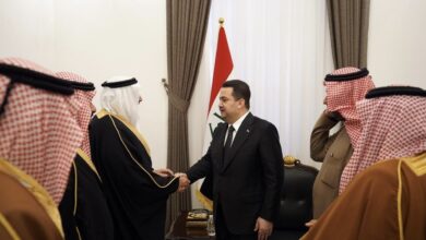 0D88196F B385 4BCA A7EF DD4C44429235