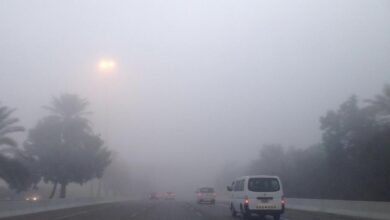 0E0D707E DE2B 4F07 B9CA CA20A65CC3BC