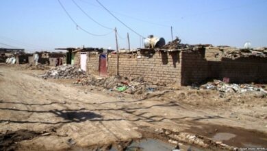 0EAF4D37 C351 42CE ADE2 7E4A72758A0A