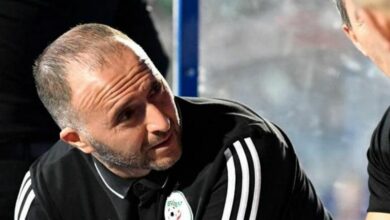 192 151055 algeria fans djamel belmadi 700x400