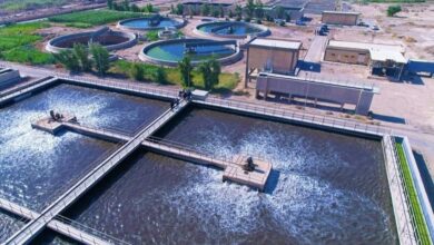 1BCDF269 DA93 42CE 918A 205A37A8D401