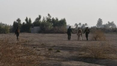 258D2590 4DD5 404D A3EB 7D1CC2555FB0