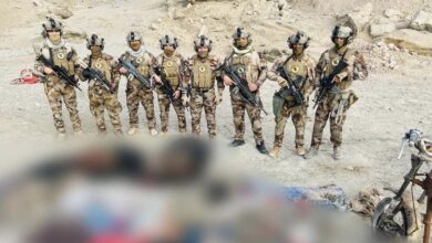 2634C7D3 FE18 46D2 83A6 D338717B2D40