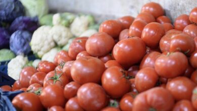 41DF3EC5 65DF 4418 B46B 7811C20A0C90