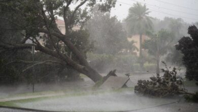 491B9861 4FFB 40A6 A280 40C51EA6C74D