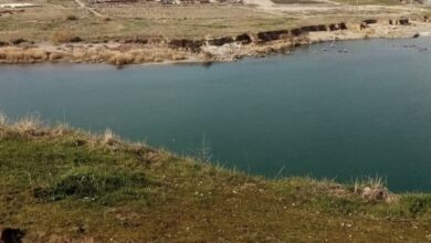 533AF79C 0678 44D2 AD11 7EBBC28433FA