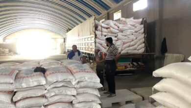 5EB5A7E9 01B3 4A49 A996 17C158DD37B2