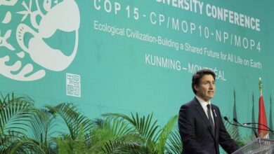 606DC85B 7BB2 4B37 9F5F 6B6D7545AFC5