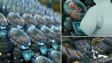 639c11b242360423bf10ce75